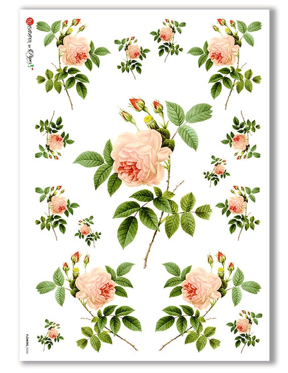 Papel Arroz Peonías Rosas ✓ Para Decoupage y decoraciones