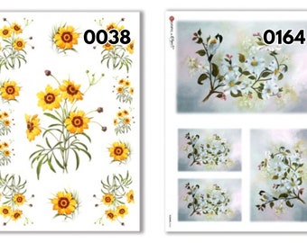 Paper Designs A4 Flowers Rice Paper - Animal Rice Paper - Decoupage Rice Paper - A4 Rice Paper - Flower Rice Paper - Sunflower Rice Paper