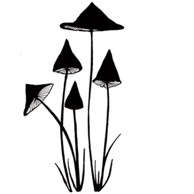 May include: A black and white illustration of several mushrooms. The mushrooms have black, cone-shaped caps and long, thin stems. The underside of the caps have white, detailed gills. The illustration is set against a white background.