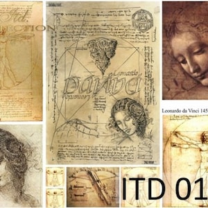 May include: A collage of vintage sketches and drawings by Leonardo da Vinci, including the Vitruvian Man, a portrait of a woman, and a detailed diagram of the human body. The text "Leonardo da Vinci 1452 - 1519" and "ITD 0141" are also visible.