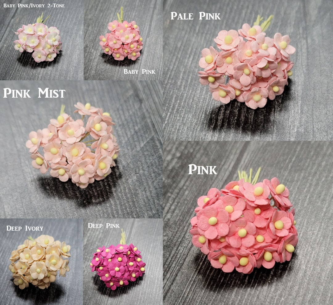 Promlee Flowers 10mm #1 Mini Sweetheart Blossoms 20pk - Flower ...