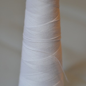 May include: A white spool of thread with a blue plastic top. The thread is wound tightly around the spool.
