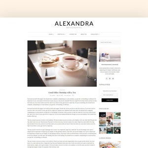 Alexandra WordPress Theme Responsive Blog Theme, Blog Template WordPress, Ecommerce Website , Blogger Template Responsive image 8