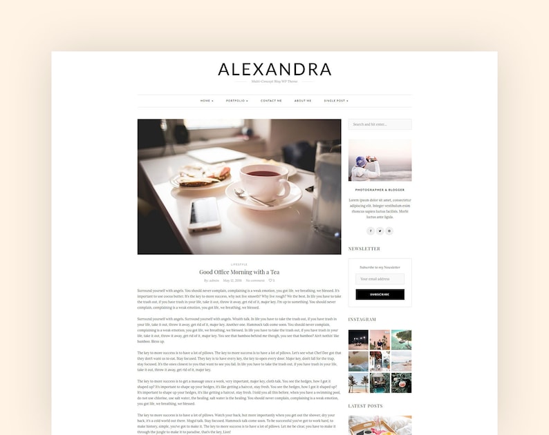 Alexandra WordPress Theme Responsive Blog Theme, Blog Template WordPress, Ecommerce Website , Blogger Template Responsive image 8