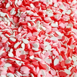 Resin Shaker Füllung Inlay Fimo Slices Sprinkle Streusel Blüten Kirschblüten Blätter rot rosa weiß  10g / 20g