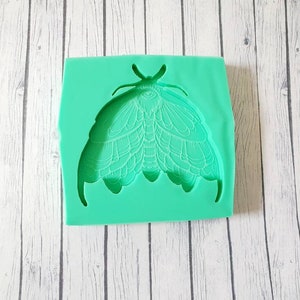 Puede incluir: Molde de silicona verde con un dise&ntilde;o de mariposa detallado. La mariposa tiene intrincados patrones de alas y un ojo prominente.