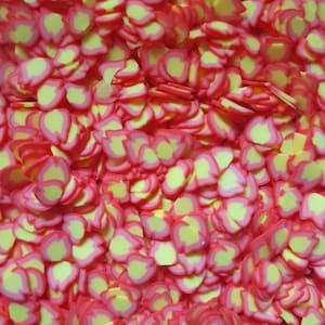 Intarsi in resina Shaker Fette di Fimo Decorazione a dispersione Fiamme Fuoco Melma epossidica rosso fuoco 5 g / 10 g