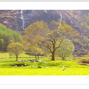 Szmaragdowa zieleń Gleninchaquin Park Co Kerry Irlandia. Sztuka ścienna Kerry Irlandia. Zdjęcie Irlandii