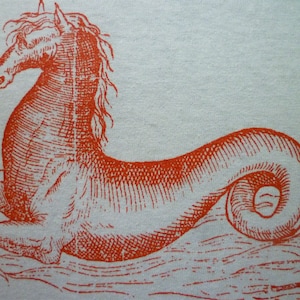 ANCIENT SEA MONSTER Vintage book image