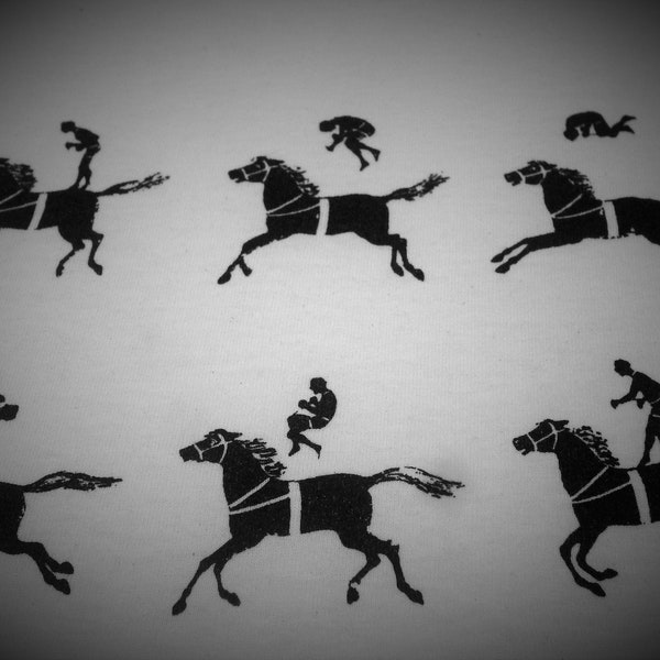 CHEVAUX ZOETROPE praxinoscope T SHIRT