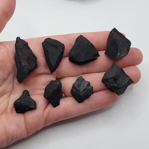 6 raw shungite stones in hand