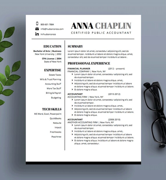 professional resume template cv