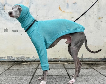 Italian Greyhound Clothing, Organic Cotton, Waffle, Long Neck T-shirt [TURQUOISE]
