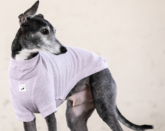 Italian Greyhound Clothing, Organic Cotton, Short Sleeve, Short Neck, T-shirt [LIGHT PURPLE]