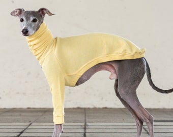 Italian Greyhound Clothing, Organic Cotton, Waffle, Long Neck T-shirt [YELLOW]