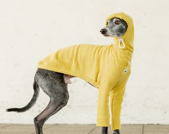 Italian Greyhound Clothing, Hoodie, Hoody, Hooded Sweatshirt, Hooded Jumper, Cotton100% [LEMON]