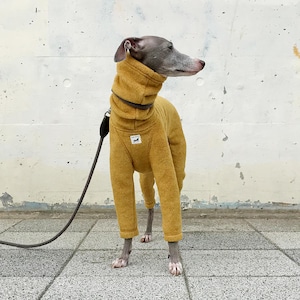 Whippet, Italian Greyhound Clothing, Fleece Jammies,Jumpsuit,Romper,Onesie MUSTARD image 1