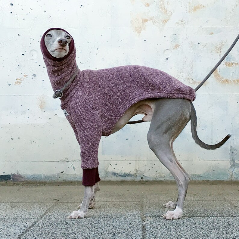 Wool Nep Long Sleeves T-shirt Wine Italian Greyhound Clothing