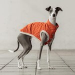 Whippet Clothing