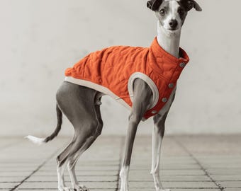 Whippet, Italian Greyhound Clothing, Quilted Vest, Coat, Outer [ORANGE]