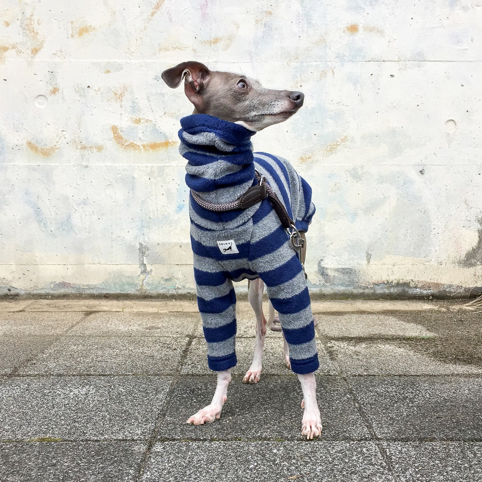 Italian Greyhound Clothing Fleece Long sleeves Tshirt Etsy