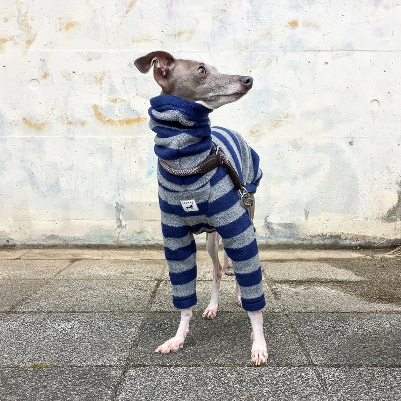 Italian Greyhound Clothing Fleece Long Sleeves Tshirt Etsy