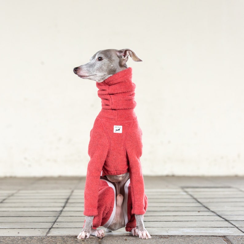 Italian Greyhound Clothing Fleece Etsy Canada