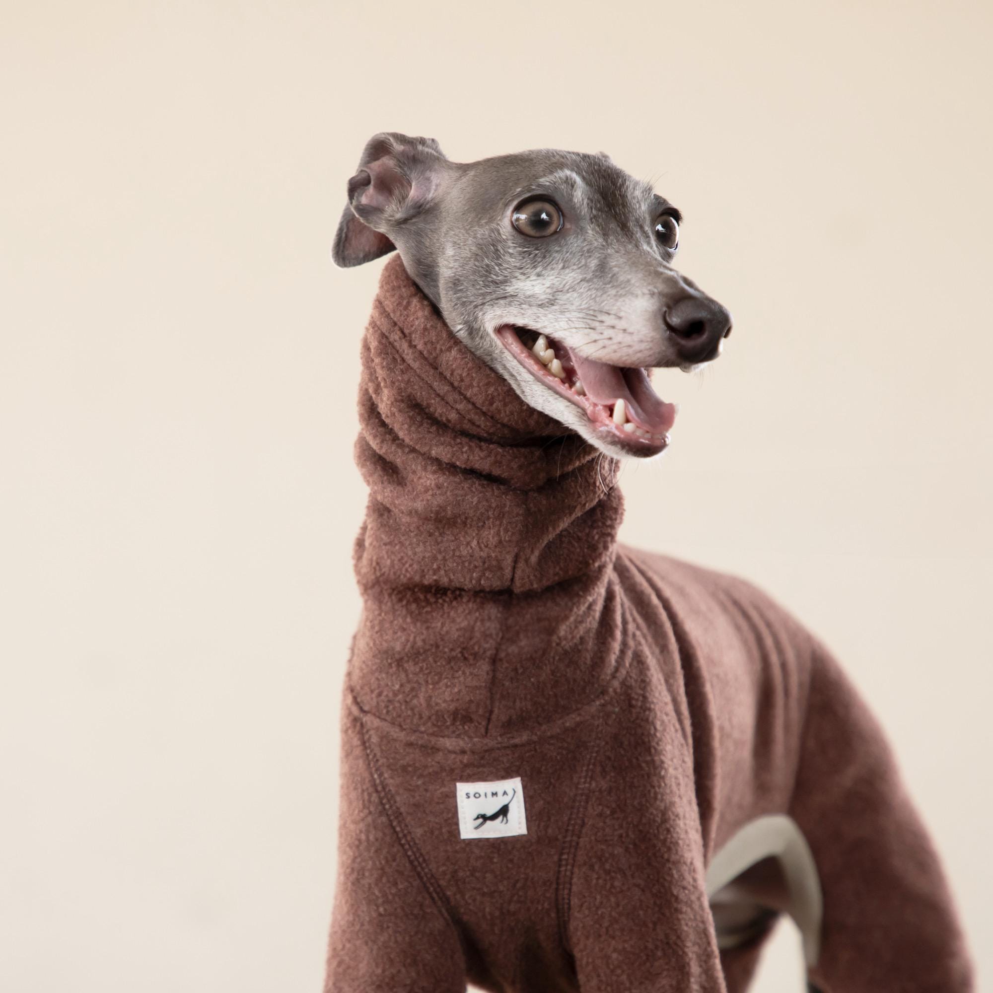 XJKLBYQ Greyhound trui voor honden, katoenen Greyhound pyjamas Vierbenige Greyhound kleding met capuchon Whippet pyjamas rekbare warme hondenjas L, Greyhound kleding