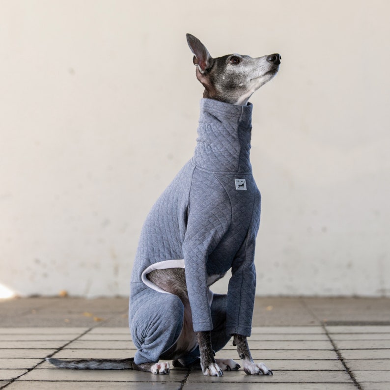 Italian Greyhound Clothing, Organic Cotton Quilted Jammies,Jumpsuit,Romper,Onesie ASH BLUE image 5