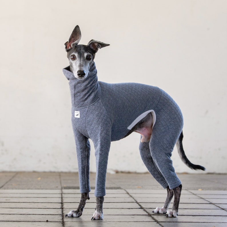 Italian Greyhound Clothing, Organic Cotton Quilted Jammies,Jumpsuit,Romper,Onesie ASH BLUE image 3