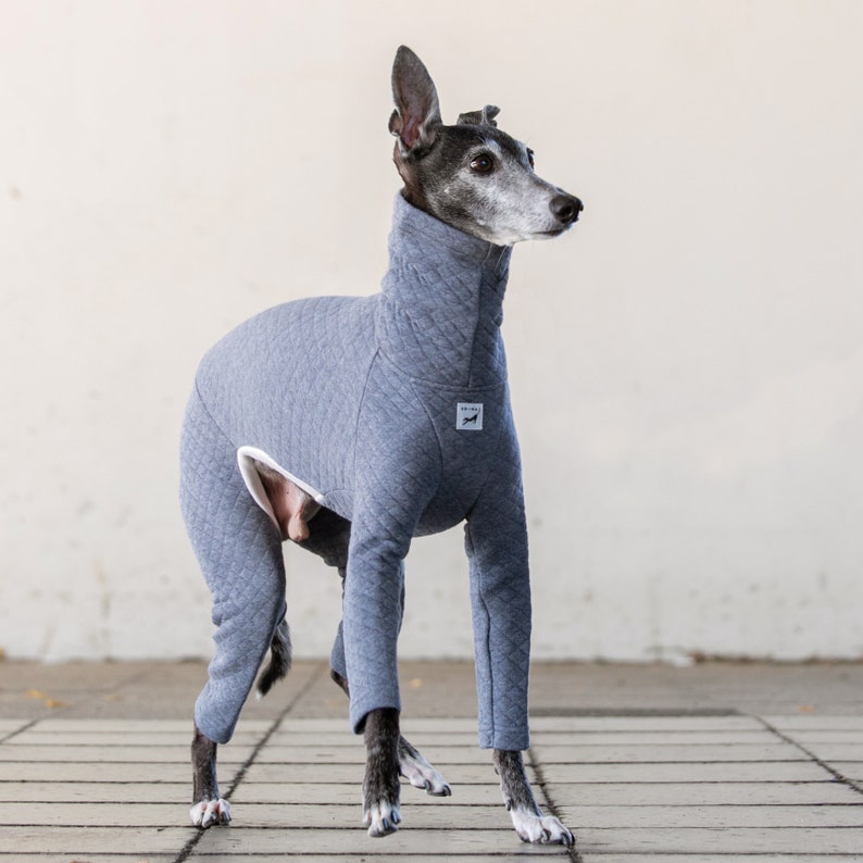 Italian Greyhound Clothing, Organic Cotton Quilted Jammies,Jumpsuit,Romper,Onesie ASH BLUE image 1