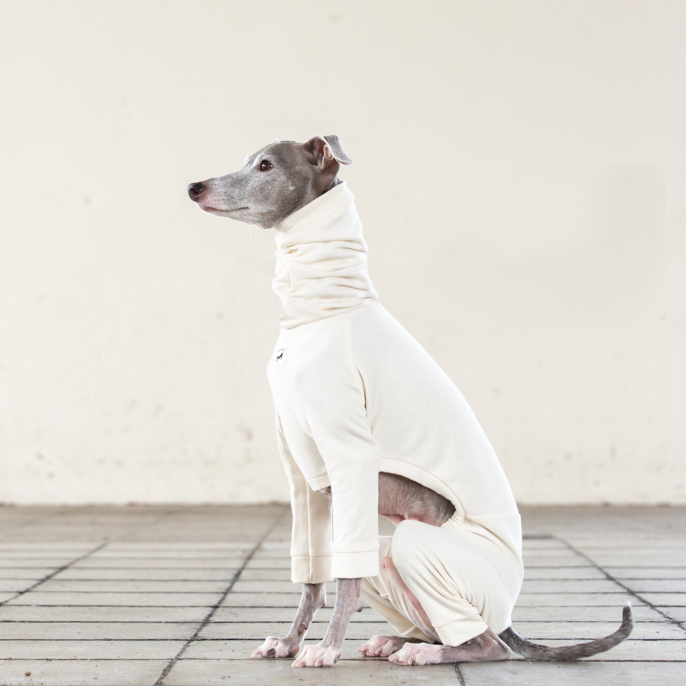 Italian Greyhound Clothing Light weight Organic Cotton Suit Etsy