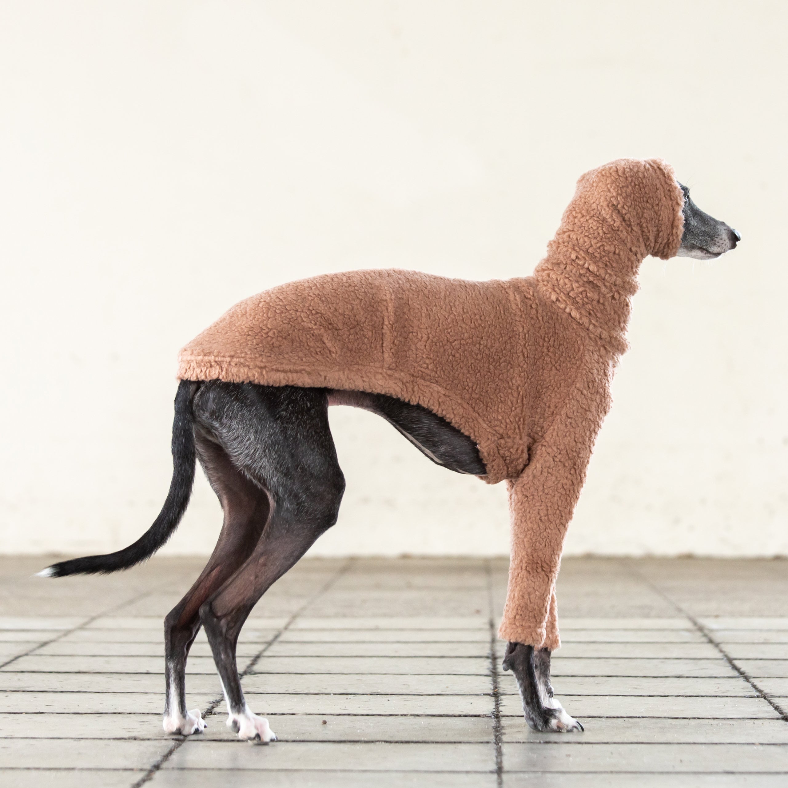 Italian Greyhound Clothing Italy Wool Boa Knit Long Sleeve Etsy