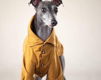Italian Greyhound Clothing, Vintage-Inspired Typewriter Shirts [MUSTARD]