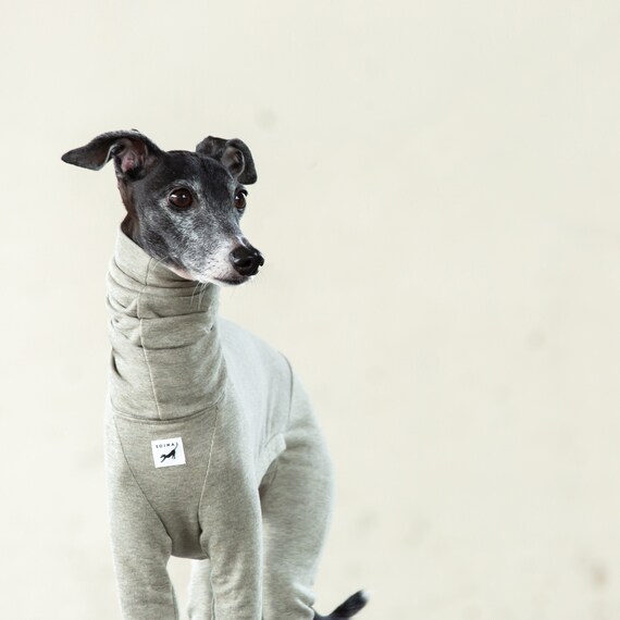 Italian Greyhound Clothing Light Weight Organic Cotton Suit Room Wear Jammies jumpsuit romper onesie SAGE Etsy Hong Kong