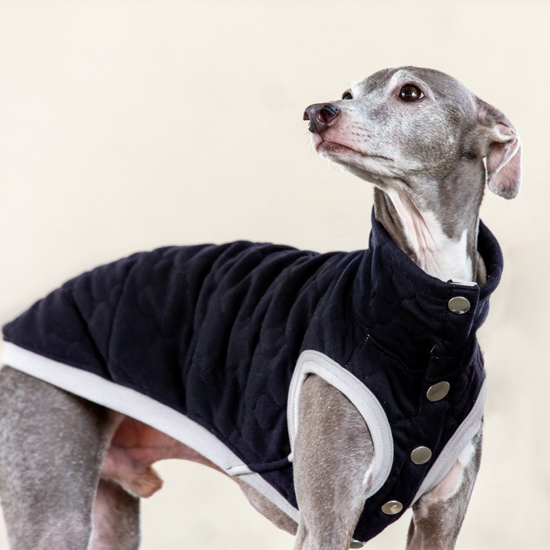Whippet, Italian Greyhound Clothing, Quilted Vest, Coat, Outer BLACK image 4