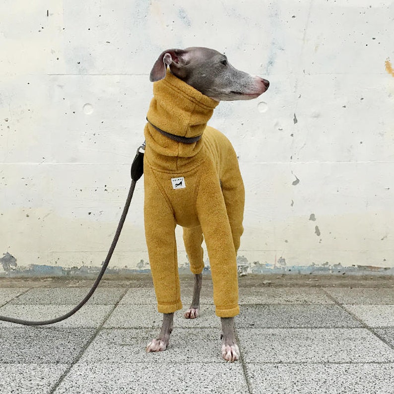 Whippet, Italian Greyhound Clothing, Fleece Jammies,Jumpsuit,Romper,Onesie MUSTARD image 1