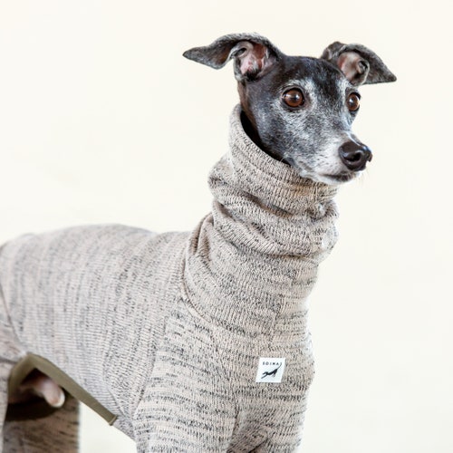 Italian Greyhound Clothing Fleece Etsy
