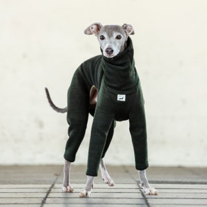 Italian Greyhound Clothing, Jammies,Jumpsuit,Romper,Onesie, Salt-And-Pepper knit [DARK GREEN]