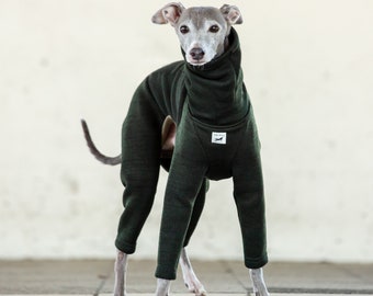 Italian Greyhound Clothing, Jammies,Jumpsuit,Romper,Onesie, Salt-And-Pepper knit [DARK GREEN]