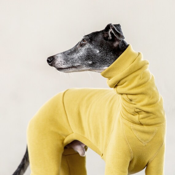 Ropa de galgo italiano jammies de sudor de algodón mono | Etsy México