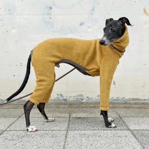 Whippet, Italian Greyhound Clothing, Fleece Jammies,Jumpsuit,Romper,Onesie MUSTARD image 2