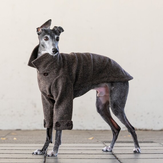 Buy Italian Greyhound Clothing Double Breasted Herringbone Tweed