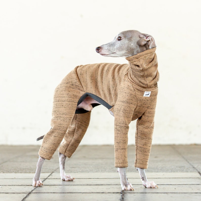 Italian Greyhound Clothing Jammiesjumpsuitromperonesie Etsy