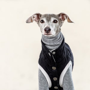 Whippet, Italian Greyhound Clothing, Quilted Vest, Coat, Outer BLACK image 6