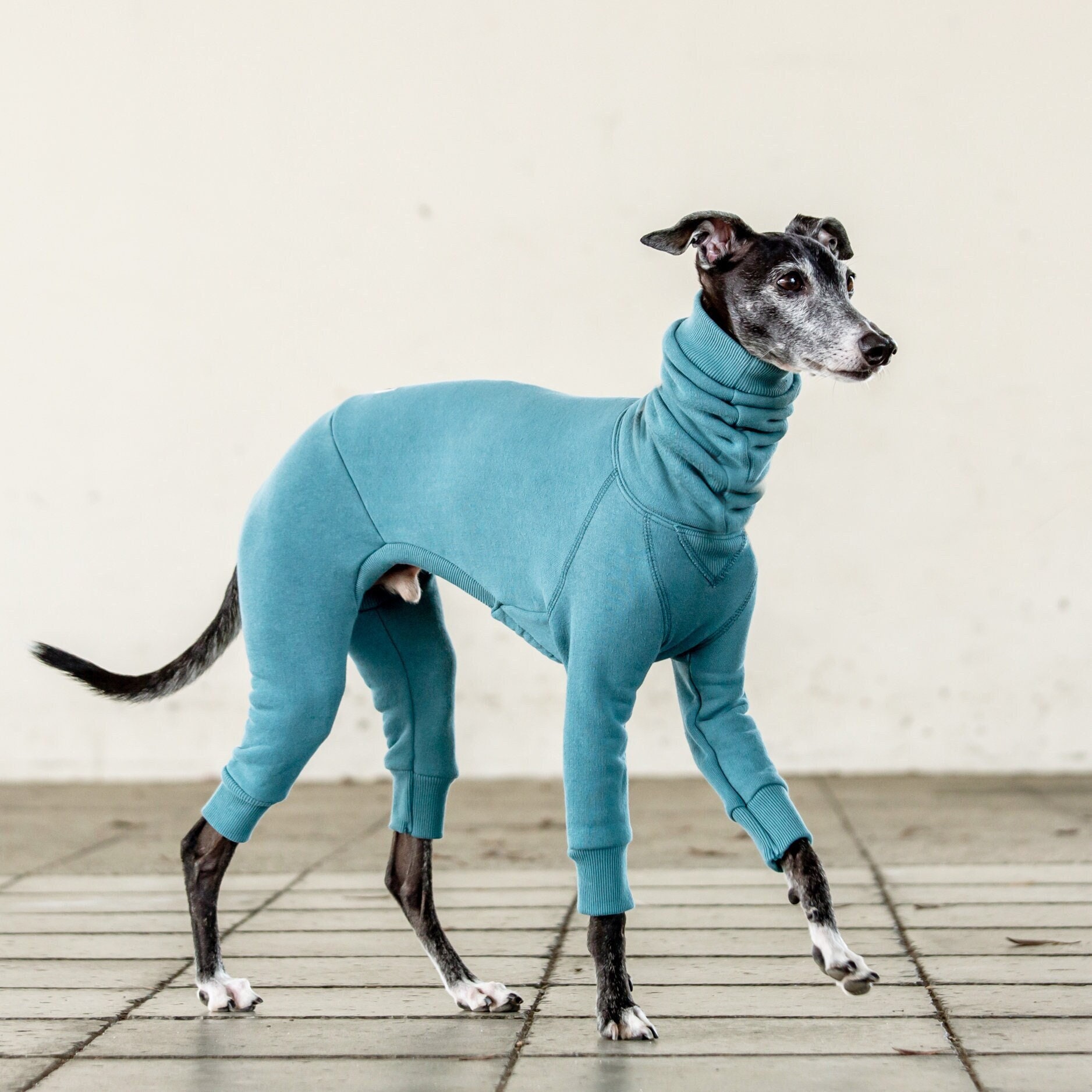 eheim 2013 canister filter