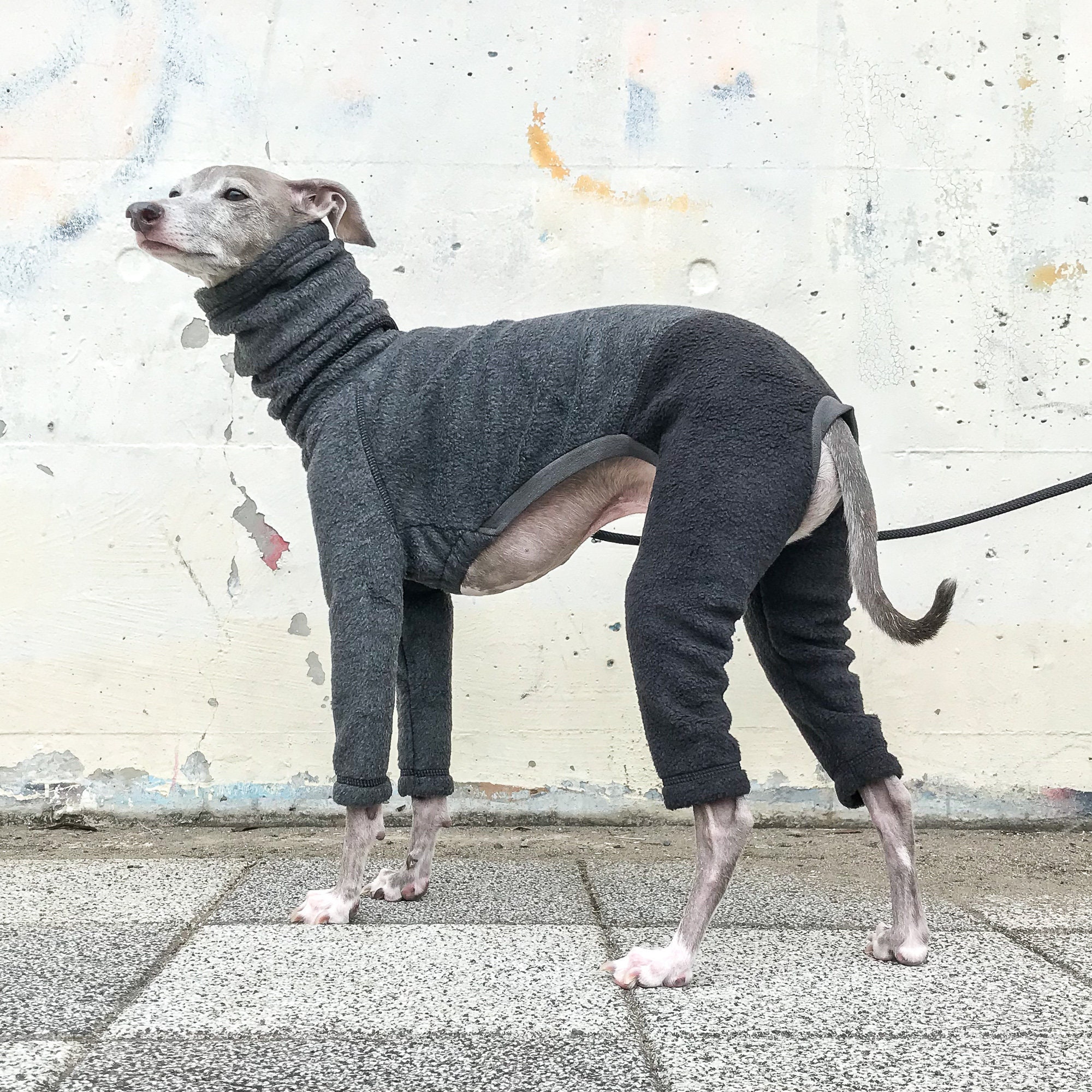 Italian Greyhound Clothing Fleece Etsy