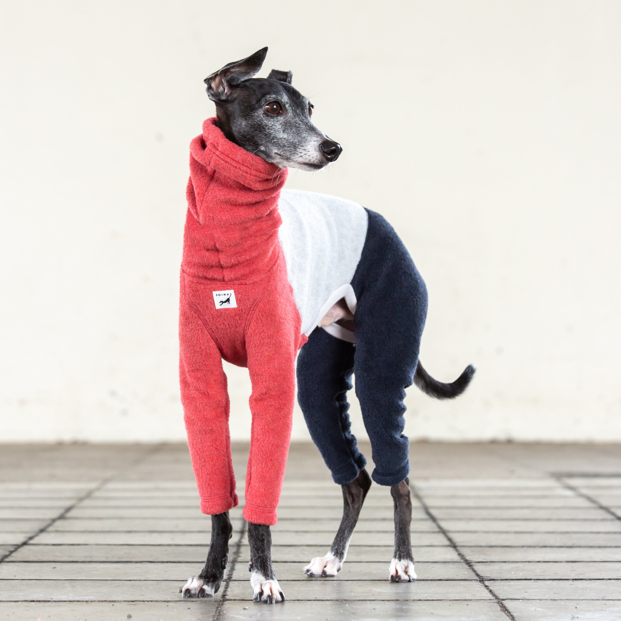 Italian Greyhound Clothing Fleece Etsy