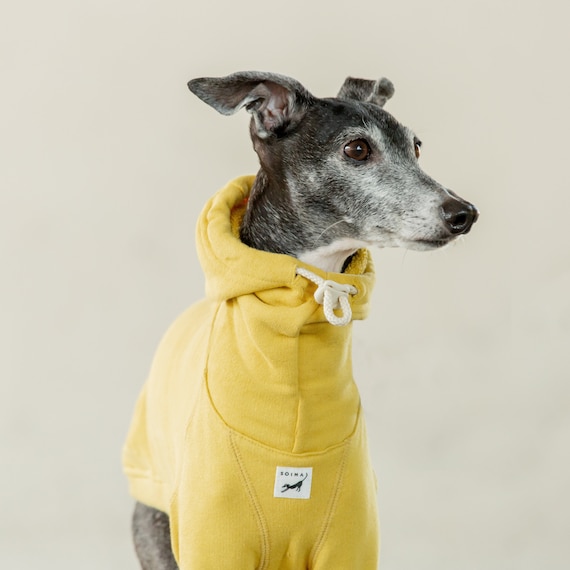 Italian Greyhound Clothing Hoodie Hoody Hooded Sweatshirt Hooded Jumper Cotton100 LEMON Etsy Canada