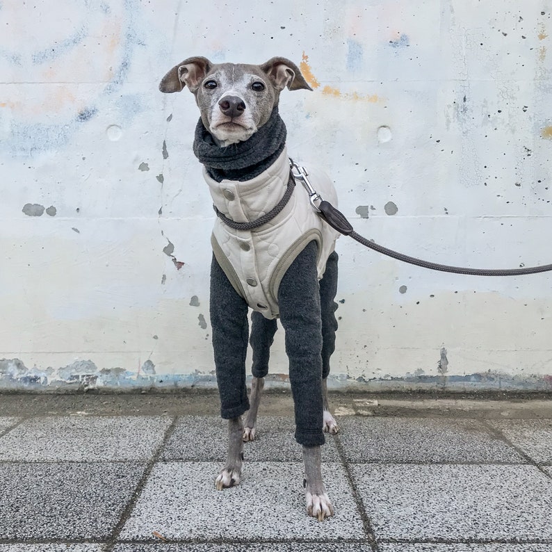 Italian Greyhound Clothing Quilted Vest Coat Outer IVORY Etsy